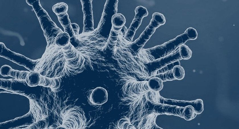 Epidemiologiczne obostrzenia przedłużone. Do szkół wracają dzieci