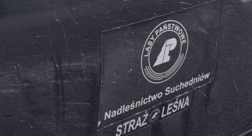 Na ratunek ruszyli strażnicy leśni. Piesze wędrówki nie zawsze mogą mieć szczęśliwy finał