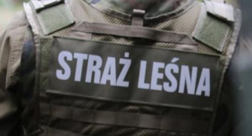Strzał na terenie posterunku straży leśnej. Ranny mężczyzna trafił do szpitala