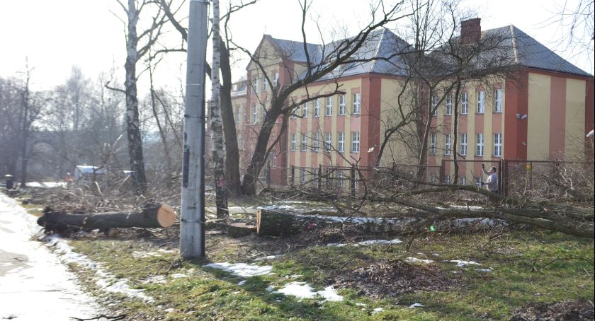 Wycinka drzew w Skarżysku rozpoczęta. Trwają przygotowania pod realizację wielkiej inwestycji 