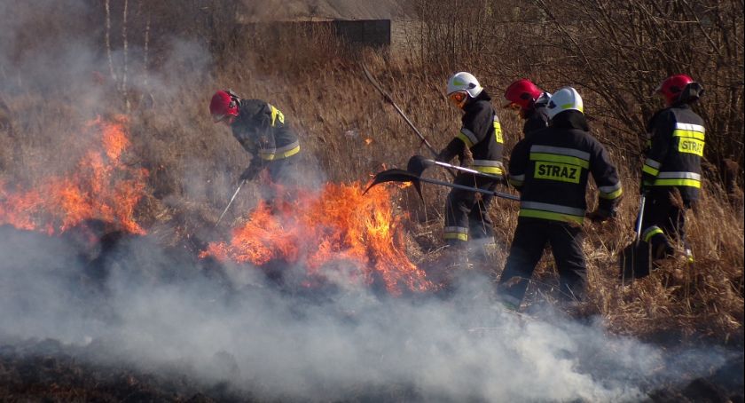 Strażacy i Leśnicy apelują. STOP pożarom traw