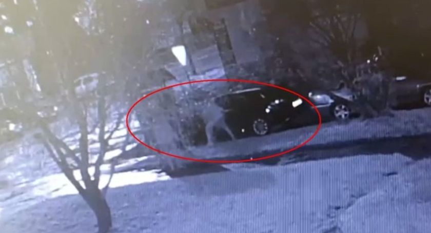  Łacina podwórkowa, kopniaki w samochód i... kajdanki na rękach