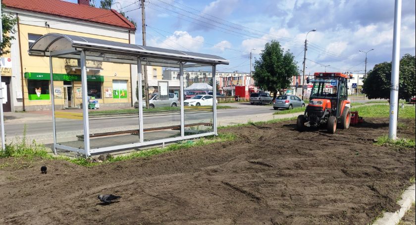Skarżysko. Skwer w pobliżu dworca z nową zielenią