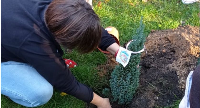 Uczniowie Szkoły Podstawowej nr 3 w Skarżysku przystąpili do ciekawego projektu 