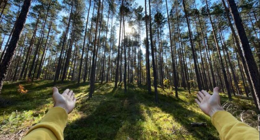 To był prawdziwy fotograficzny KADRmagedon - poznaliśmyl laureatów konkursu 