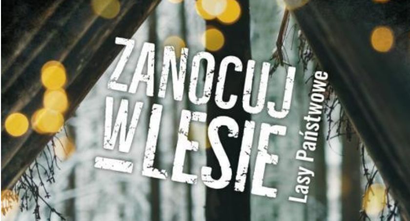Zanocuj w lesie! Biwakuj w lesie!