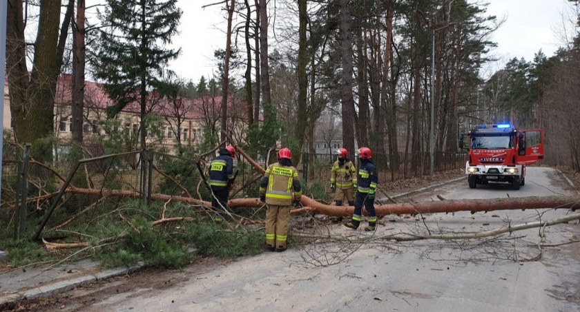 Silne podmuchy wiatru i zniszczenia na terenie powiatu skarżyskiego. W weekend strażacy na nudę nie narzekali