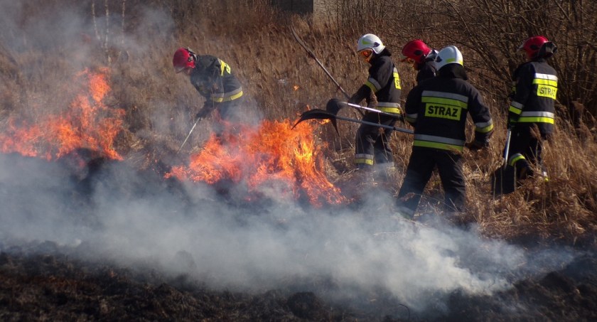 Ważny apel do mieszkańców powiatu skarżyskiego. Ta fala pojawia się co rok