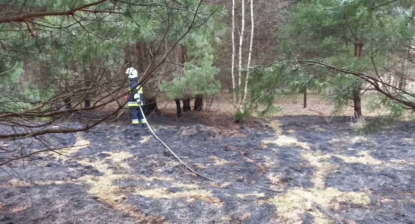 Podpalacz w Płaczkowie. Święta przerwane syreną