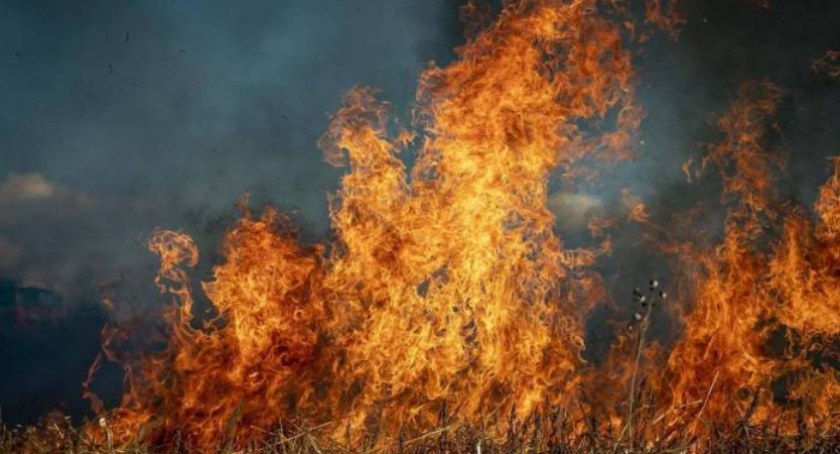 Poparzona kobieta. Tragiczny finał wypalania traw