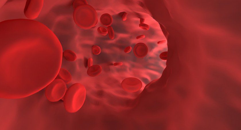 Anemia u dzieci – jakie są objawy, jak badać niedobór żelaza?