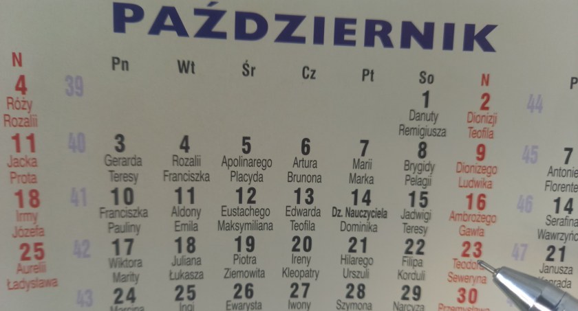Będą wybory w gminie Łączna. Kto zastąpi Jolantę Żaczek?