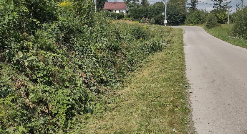 Zalezianka. Czyn obywatelski