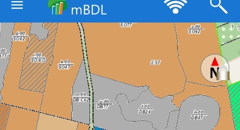 Wybierasz się na grzyby? Aplikację warto mieć u siebie w telefonie