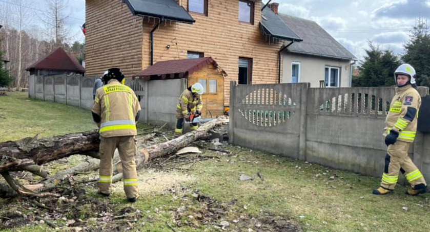 Groźne wichury w regionie. Interwencje strażaków 