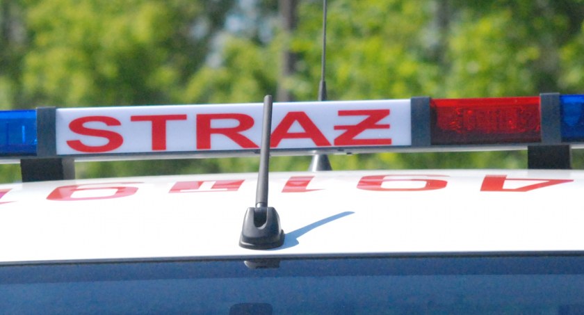 PILNE: pożar busa na trasie szybkiego ruchu na terenie gminy Łączna. Zastępy strażaków na miejscu