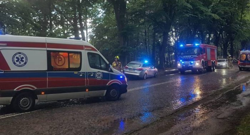 51-latek z powiatu skarżyskiego porażony piorunem
