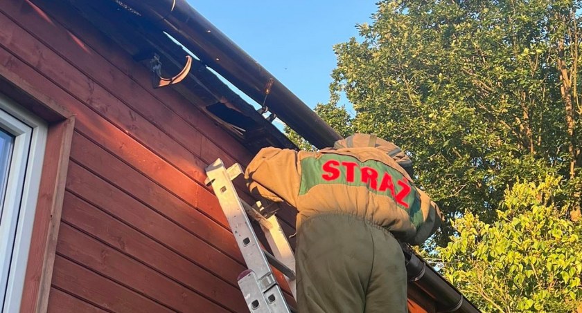OSP KSRG Bliżyn. Akcja przeciwko groźnym owadom w Zagórzu