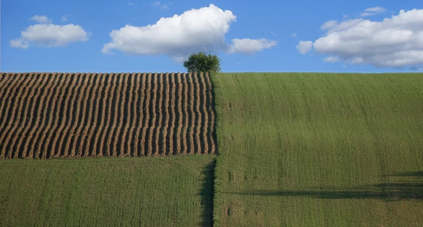 Ekostrażnik Powiatowy
