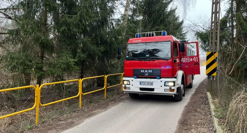 Wypadek w Suchedniowie. Drzewo przygniotło mężczyznę