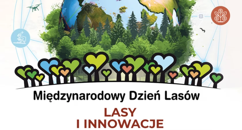 Dziś Międzynarodowy Dzień Lasów. Zobacz, co zaplanowano w twojej okolicy
