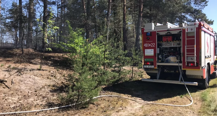 Pożar na terenie gminy Bliżyn. Samoloty gaśnicze w akcji [ZDJĘCIA]
