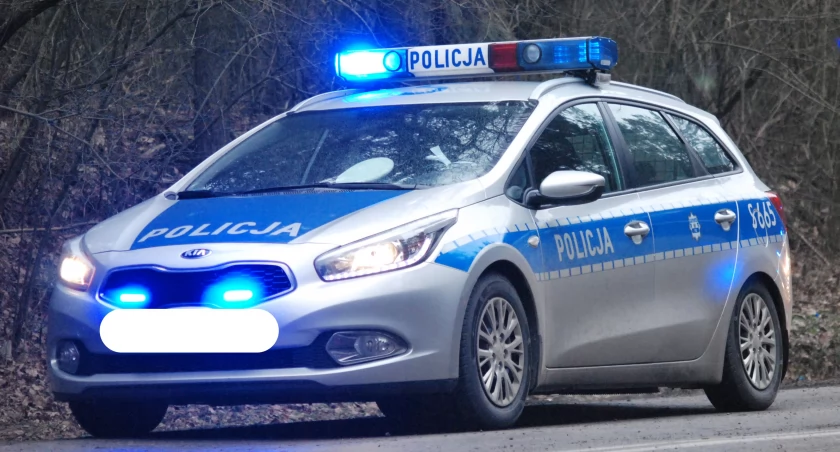 Oszustwo w Skarżysku-Kamiennej. Znalazła ogłoszenie darmowej adopcji psa