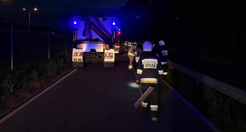 Kolizja na leśnym odcinku drogi w Skarżysku-Kamiennej. Audi uderzyło w łosia