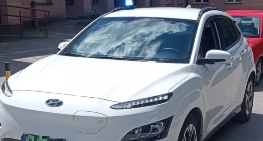 17-latek ukąszony przez szerszenia. Policja eskortowała go do szpitala
