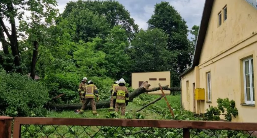 Nawałnica i burza nad powiatem skarżyskim. Powalone drzewo nad budynkiem Poczty Polskiej