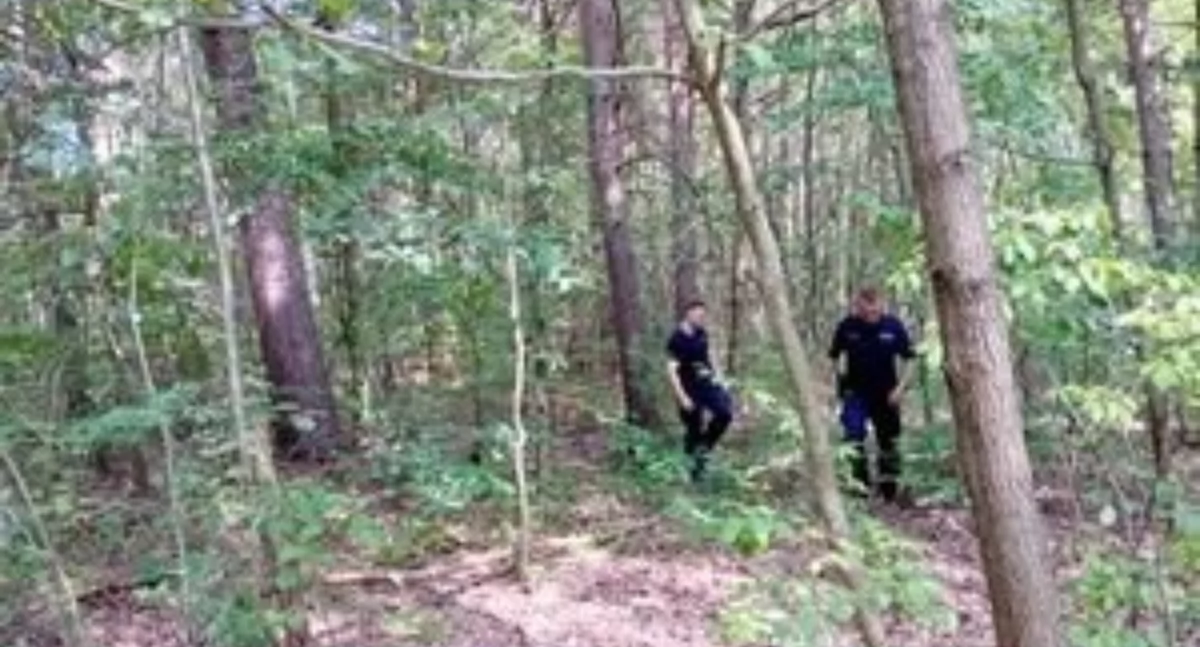 Tragedia podczas grzybobrania. Nie żyje 65-letni mężczyzna
