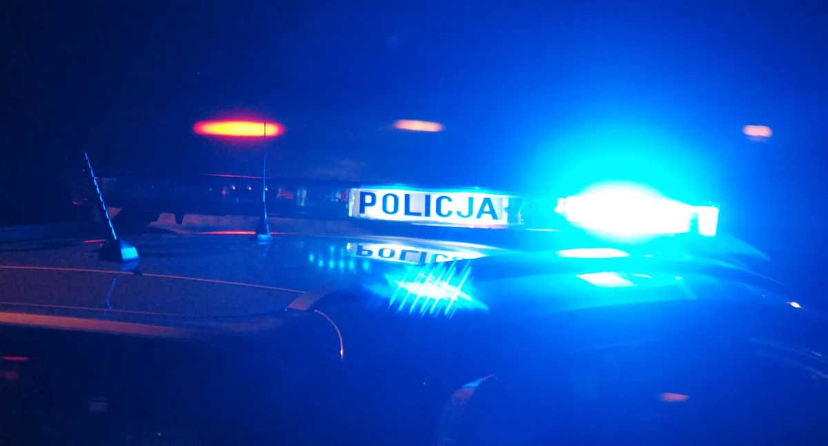 Wypadek na terenie powiatu skarżyskiego. Pociąg pośpieszny uderzył dzika w Jęgrznej
