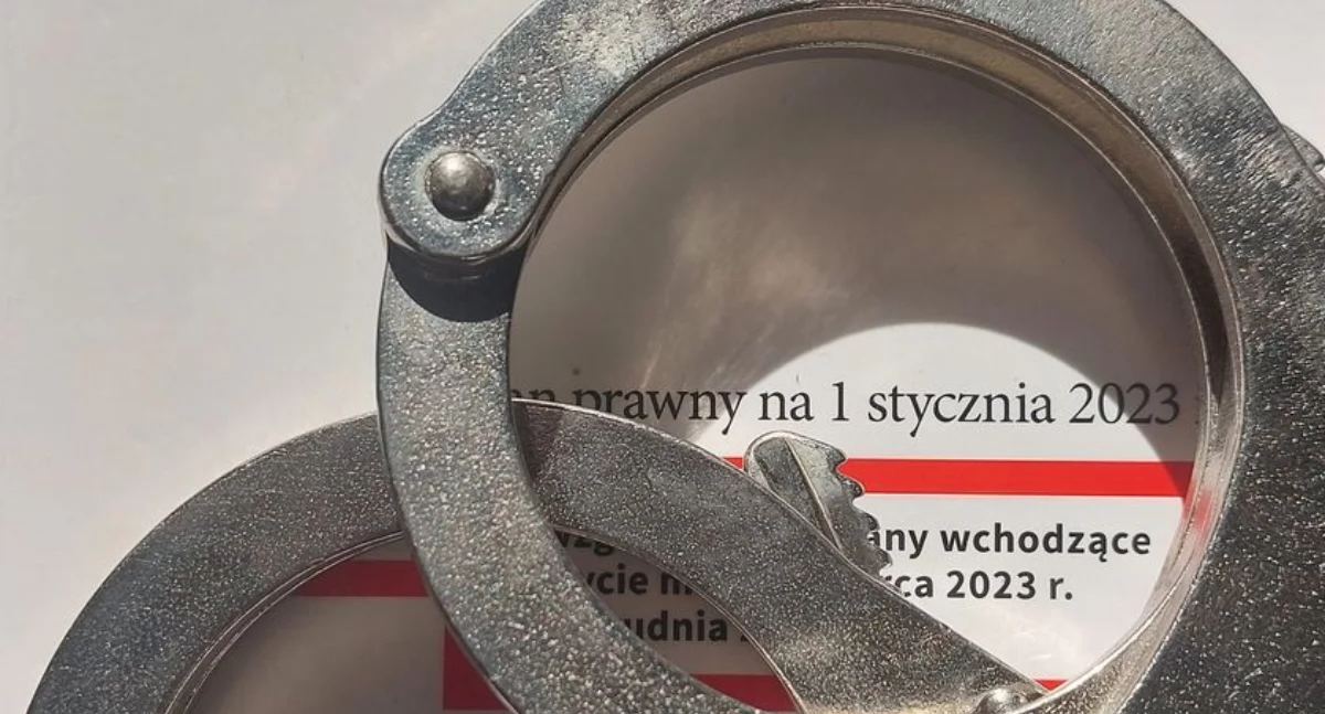 Zatrzymani za kradzieże w sklepach. Trzech mężczyzn trafiło do policyjnego aresztu