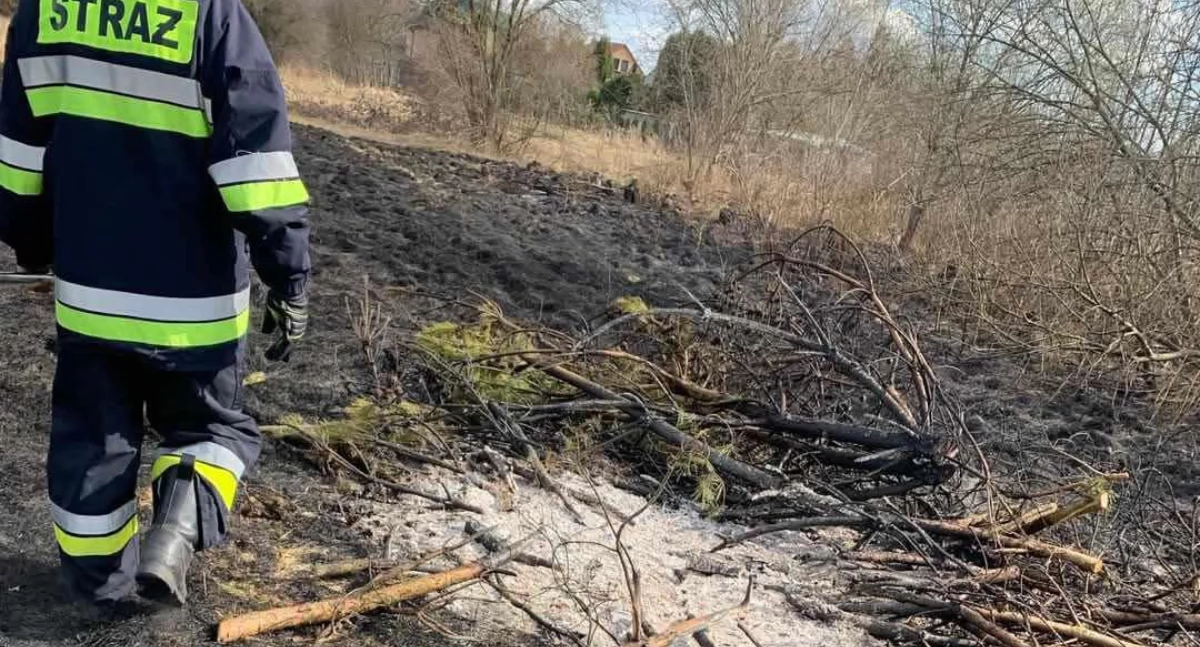 Niebezpieczne trawy w powiecie skarżyskim. Strażaków pełne ręce roboty