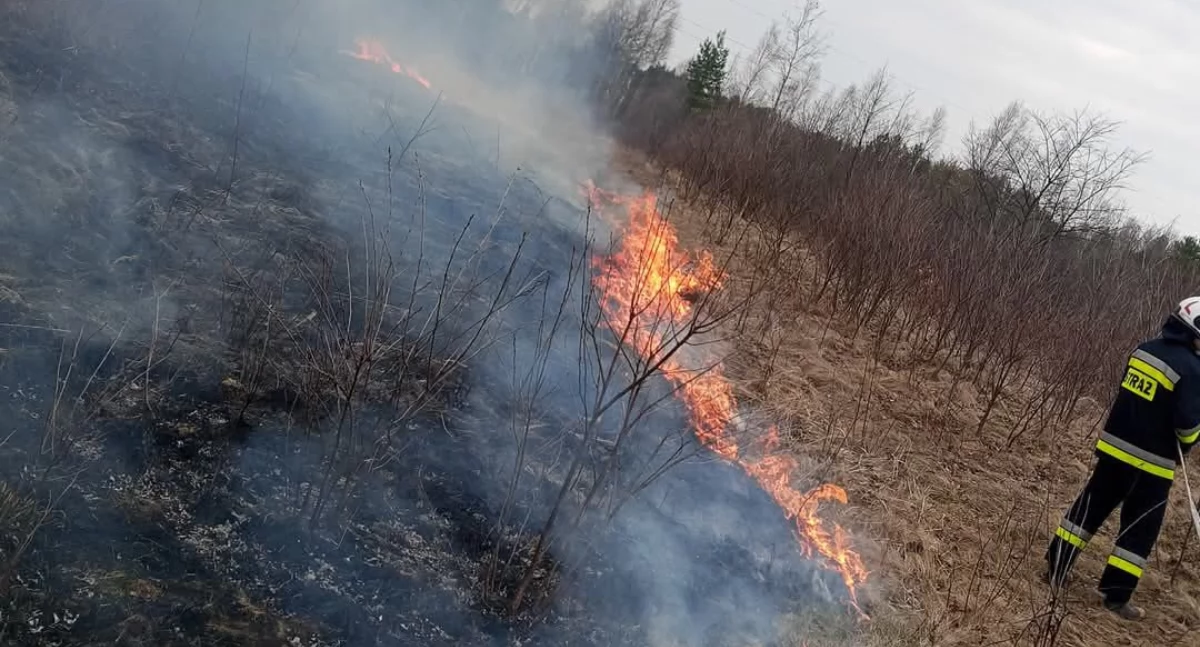Apel o zaprzestanie wypalania traw. Kolejne pożary w powiecie skarżyskim