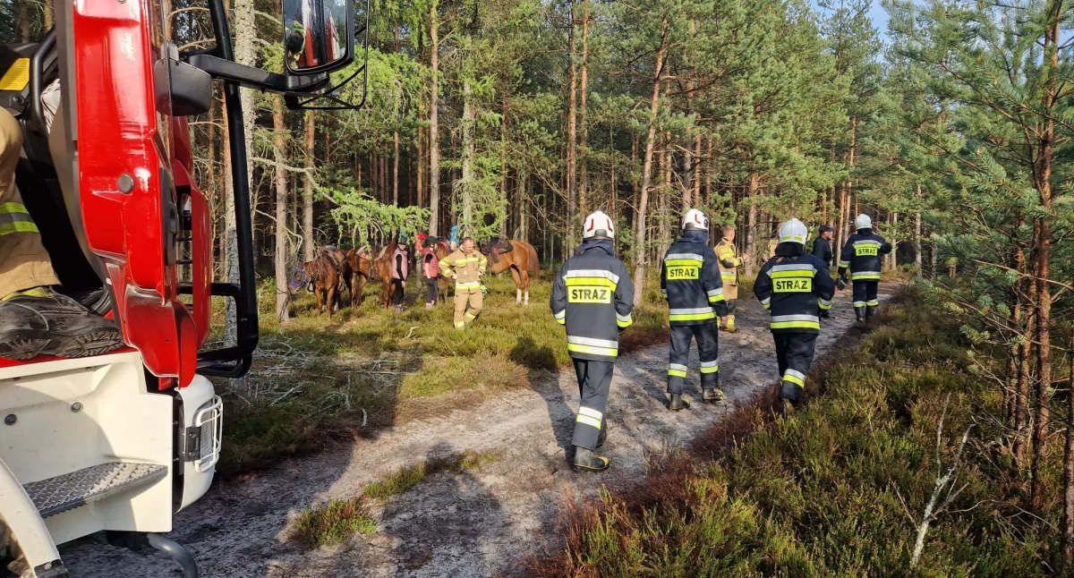 Nietypowa akcja ratunkowa w gminie Bliżyn. 22-latka spadła z konia