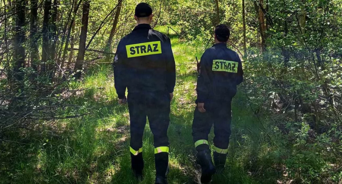 Policjanci i rodzina czekają na pozytywne wieści. Kiedy nastąpi przełom w poszukiwaniach 74-latki?