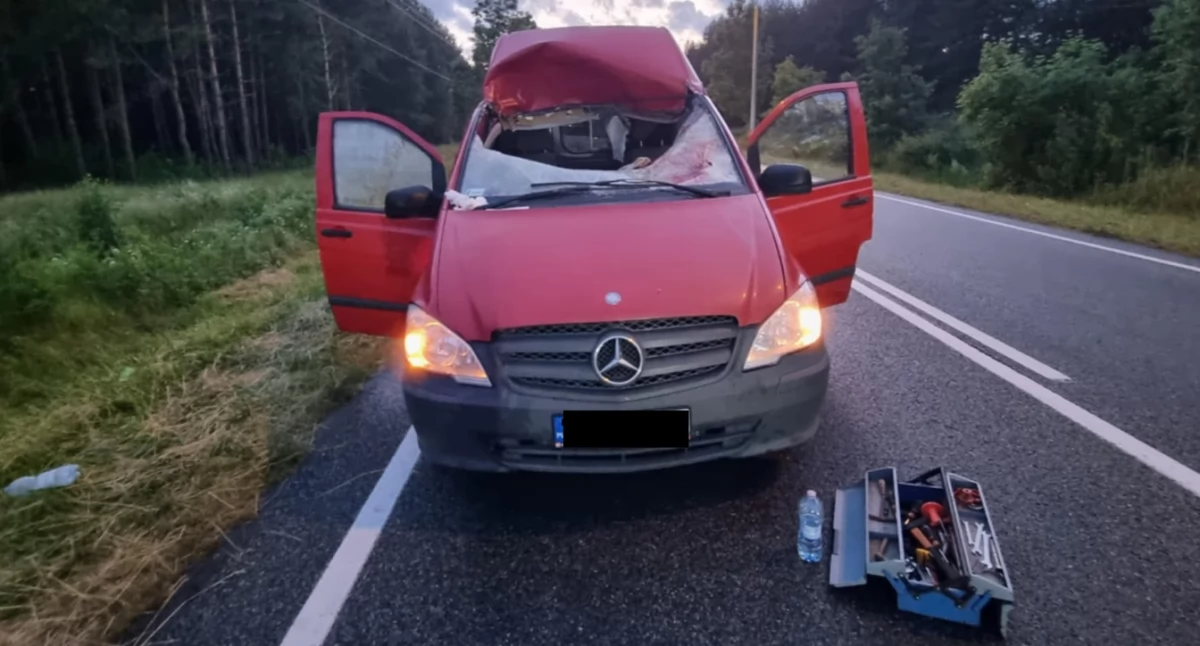 Dramatyczne zderzenie na DK nr 42 w Górkach. Jeleń wpadł do wnętrza auta