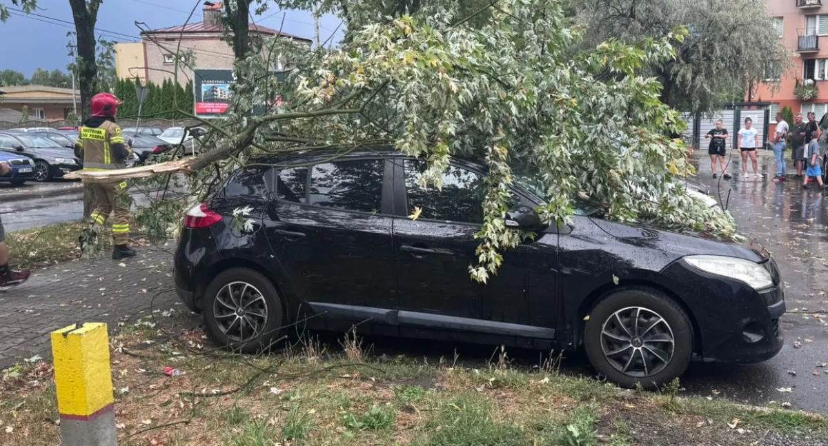 Burza z gradem nad Skarżyskiem-Kam. Drzewo przygniotło samochód