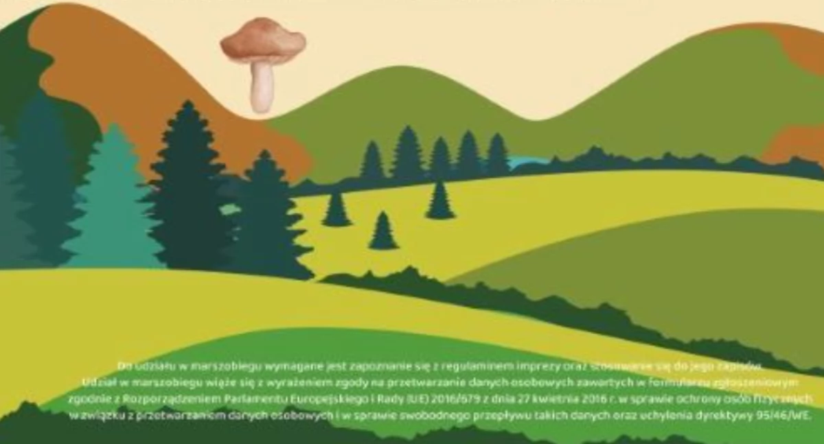 Zapraszamy na Marszobieg Powiatowy w Gminie Bliżyn