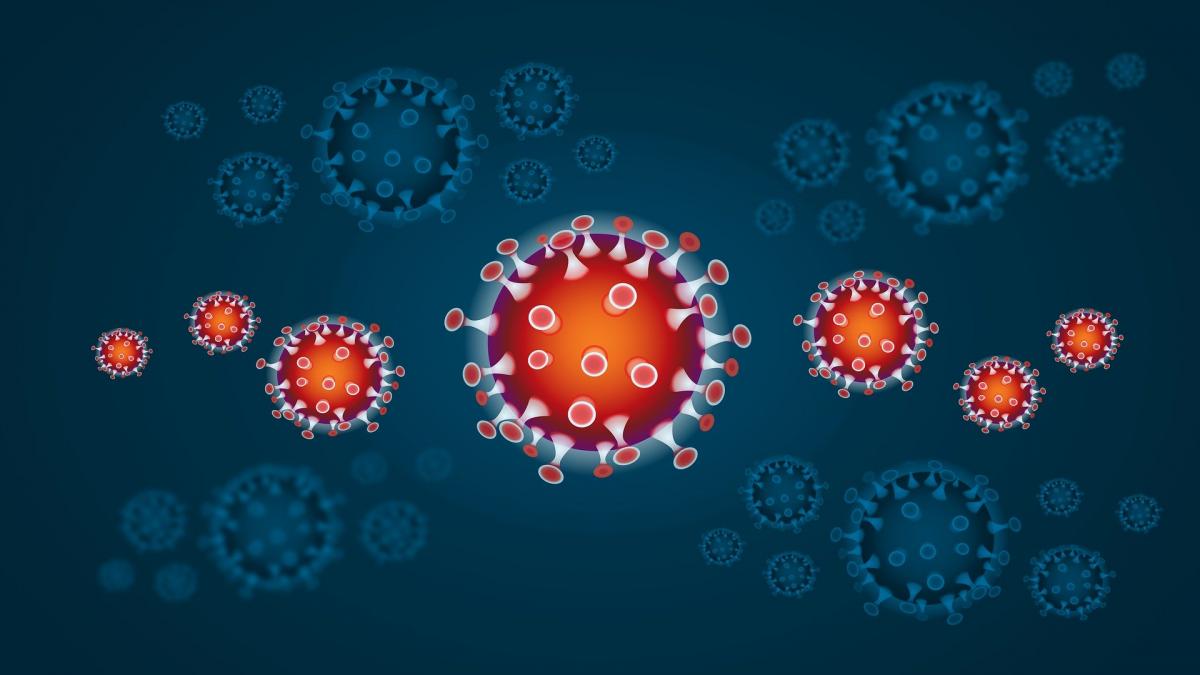 Sytuacja epidemiologiczna w powiecie skarżyskim