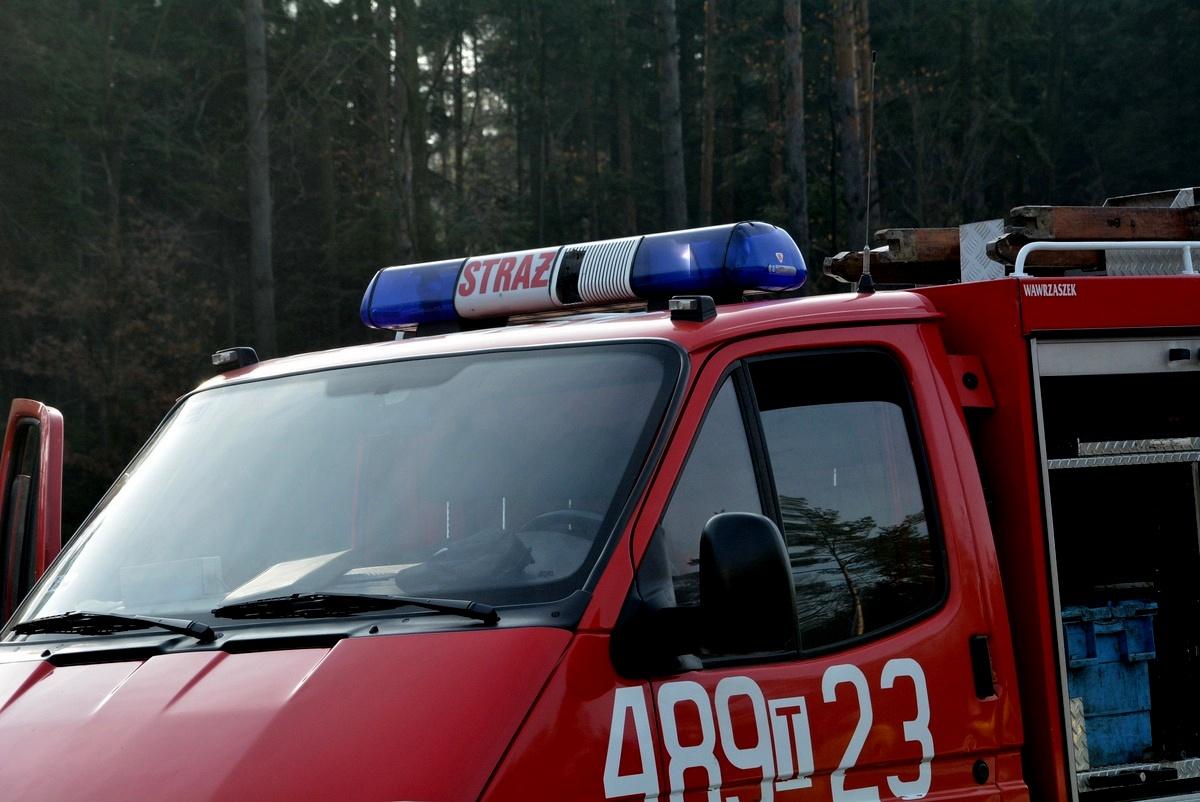 Cichy zabójca zajrzał dziecku w oczy