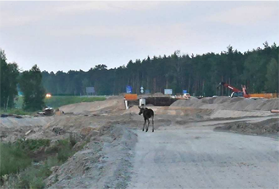 Za skarżyską S7 Polska może trafić przed Unijny Trybunał Sprawiedliwości
