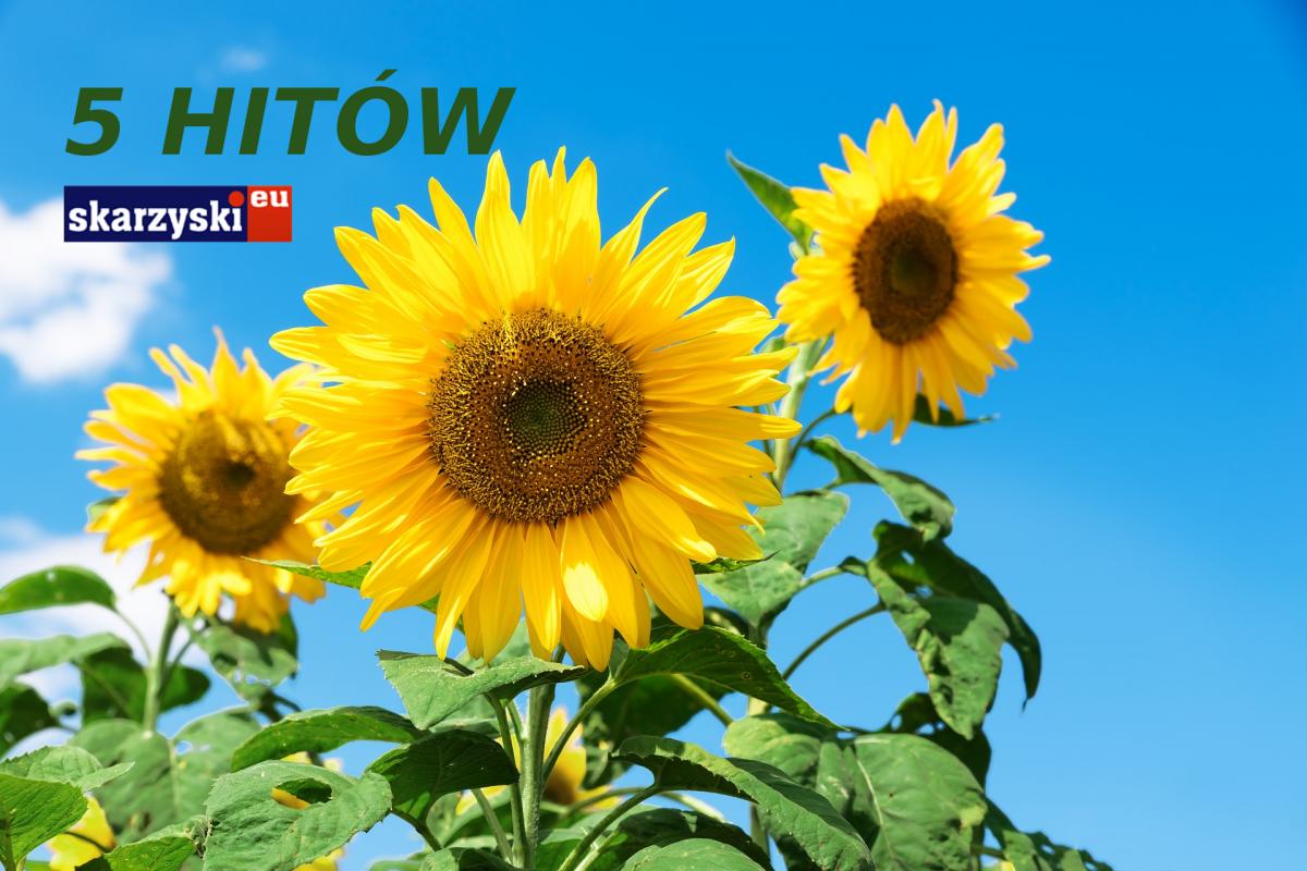Pięć najciekawszych tekstów września!