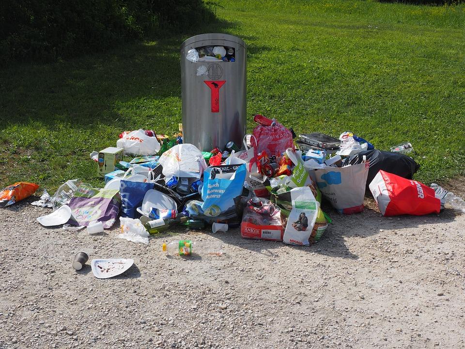 Segregować czy nie segregować