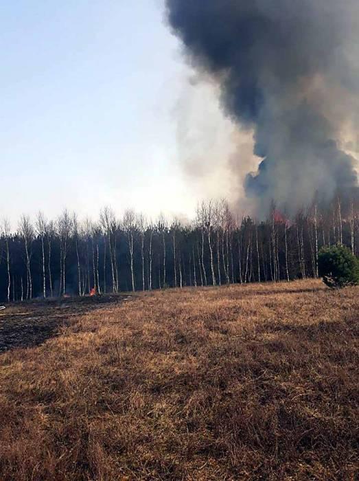 Uwaga płoną lasy!
