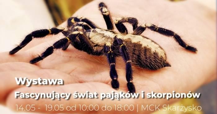 Dla odważnych, o mocnych nerwach