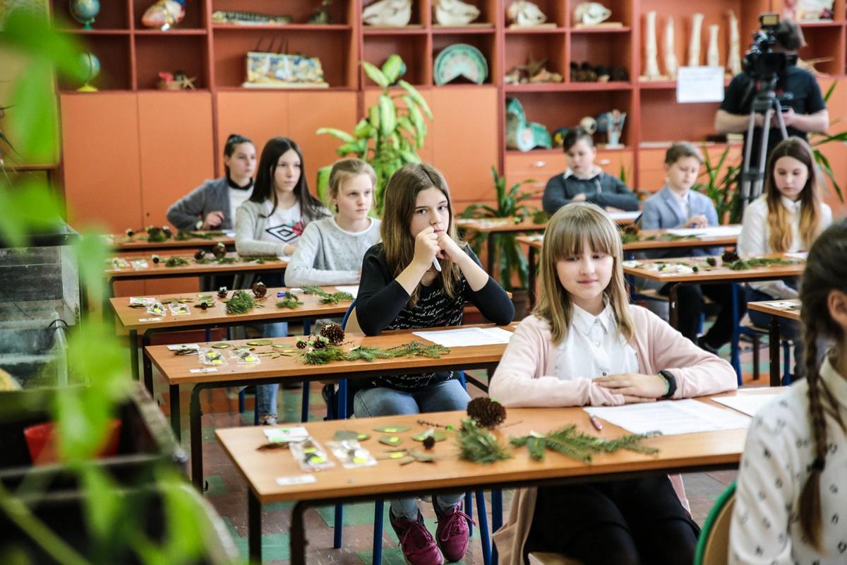 Dużo wiedzą o lesie (zdjęcia)