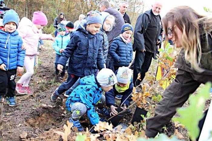 Sto drzew na stulecie odzyskania niepodległości