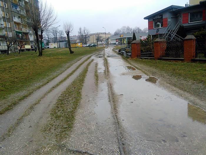 Interwencja w obiektywie